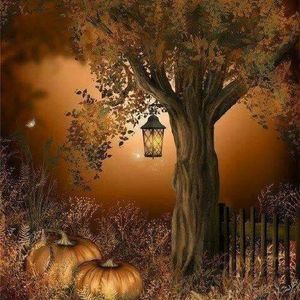 Meet your Posher, Anita